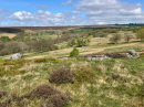 Local landscape